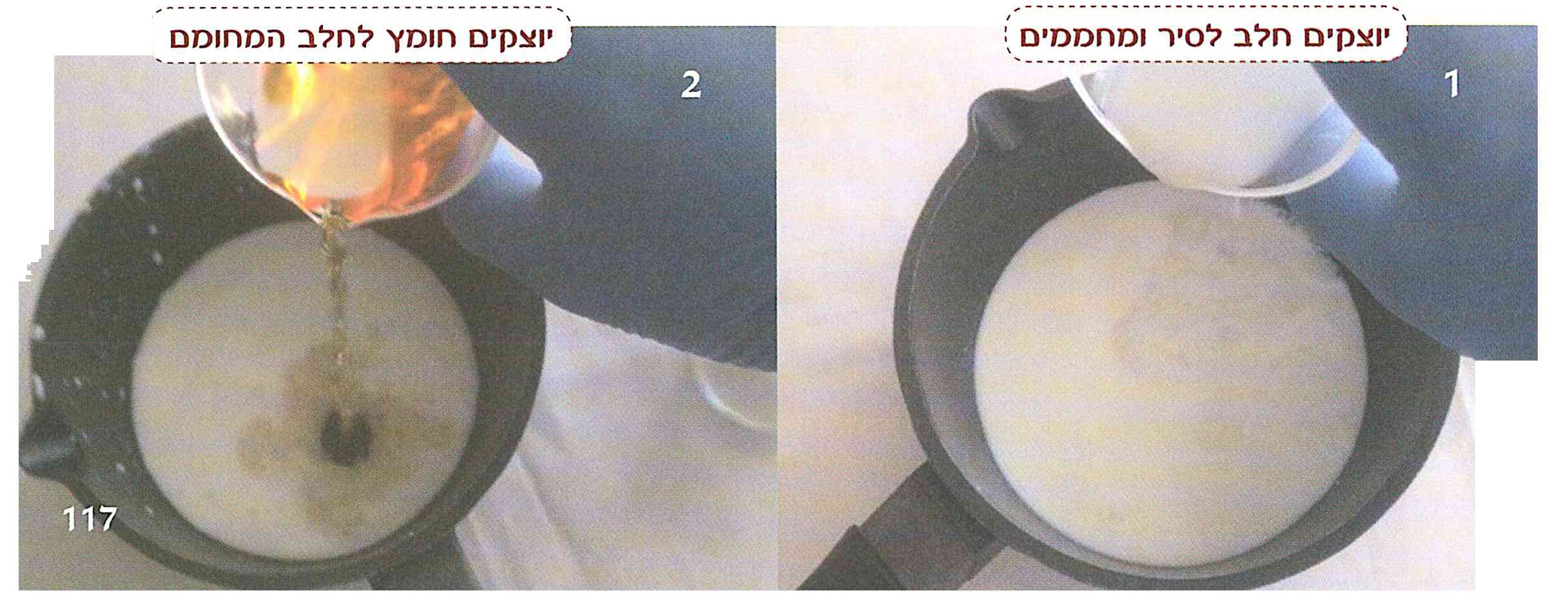 (בספר תמונות)